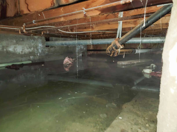 Best Flooded house restoration  in Harbor Springs, MI