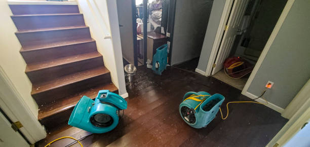 Best Carpet water damage restoration  in Harbor Springs, MI