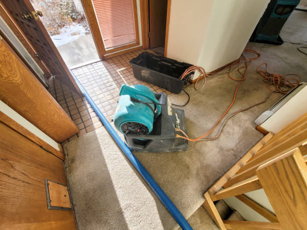 Best Water damage restoration specialists  in Harbor Springs, MI