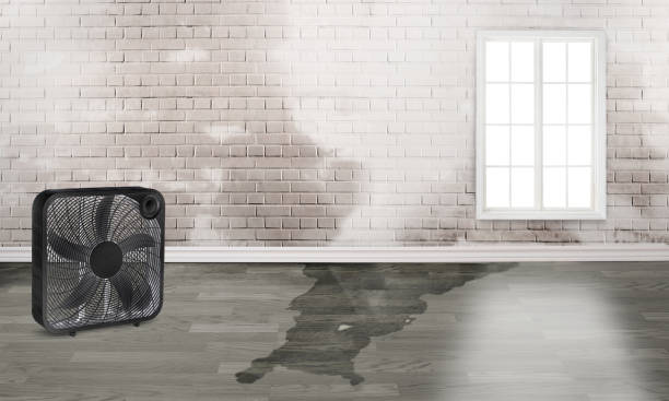 Best 24-hour water damage restoration  in Harbor Springs, MI