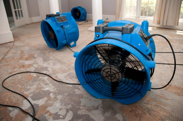  Harbor Springs, MI Water damage restoration Pros