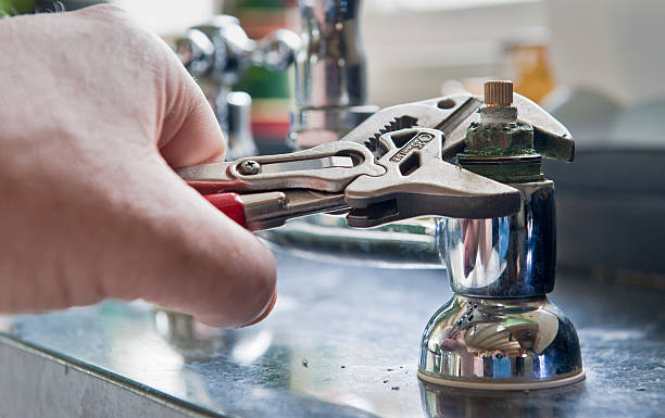 Best Mold removal after water damage  in Harbor Springs, MI