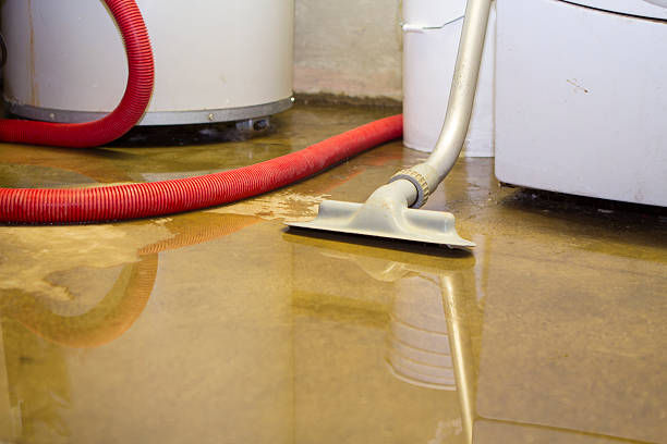 Water damage restoration mold remediation in Harbor Springs, MI