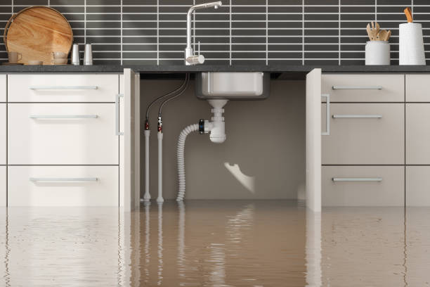  Harbor Springs, MI Water damage restoration Pros