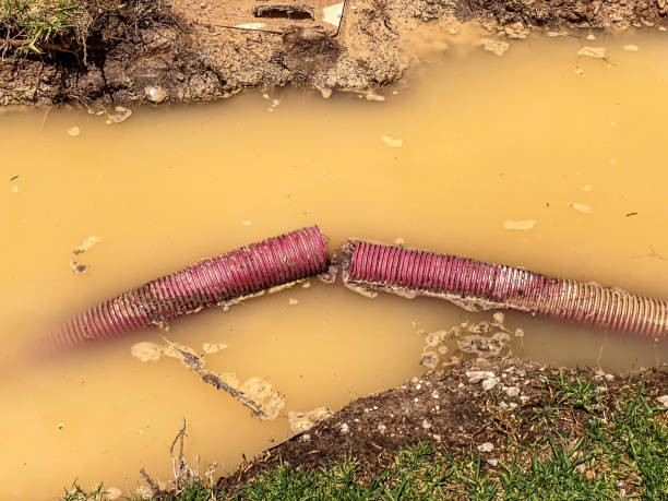 Best 24/7 water damage repair  in Harbor Springs, MI