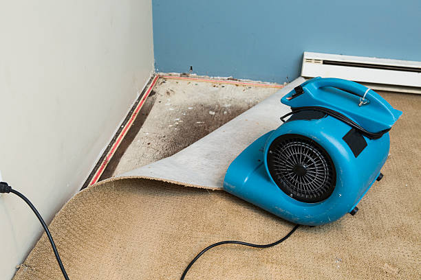 Best Water damage restoration process  in Harbor Springs, MI