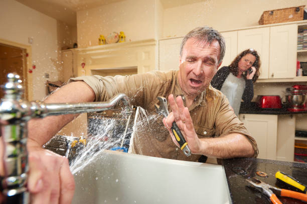 Best Basement water damage restoration  in Harbor Springs, MI